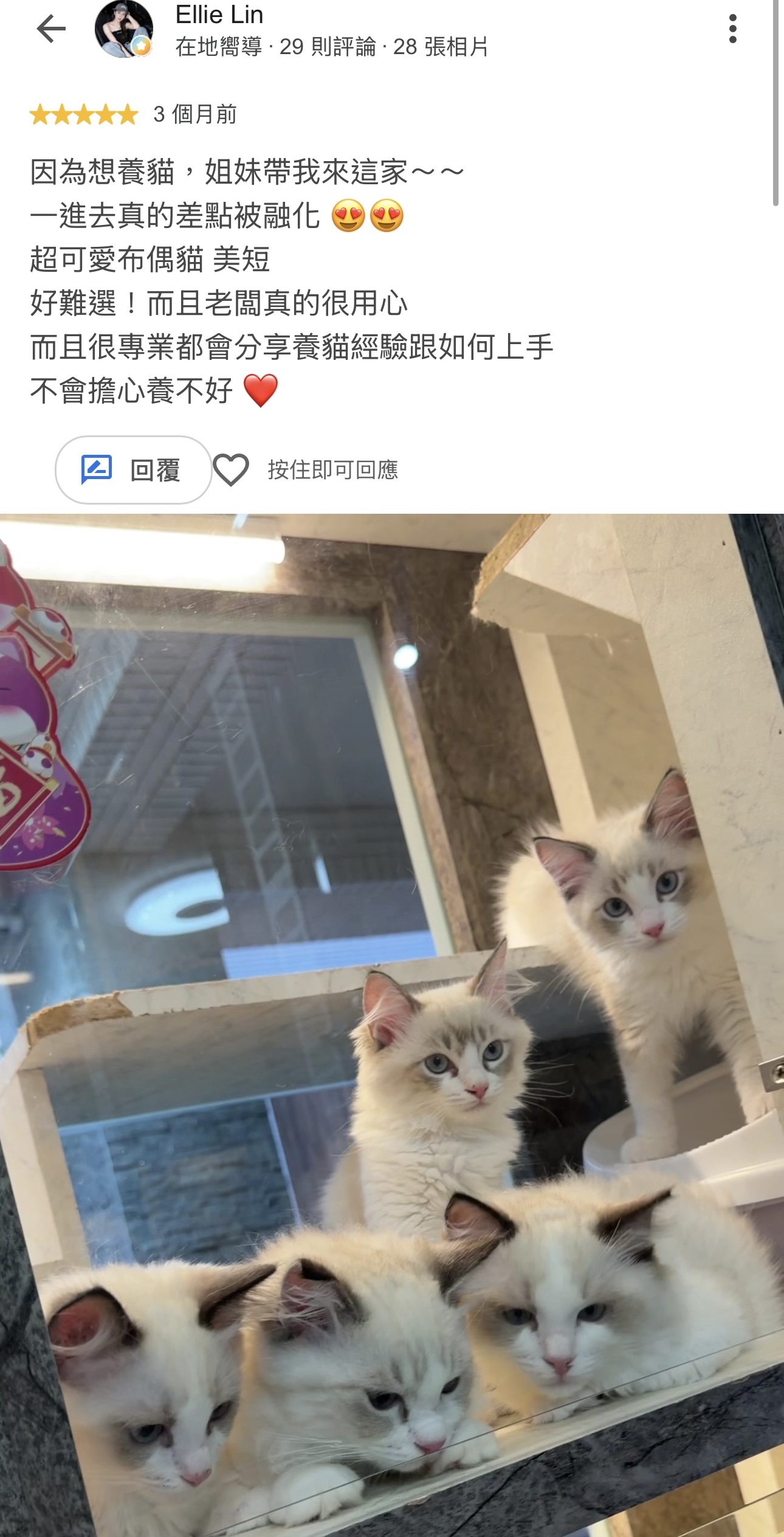 Ellie Lin的原始 Google 評論截圖