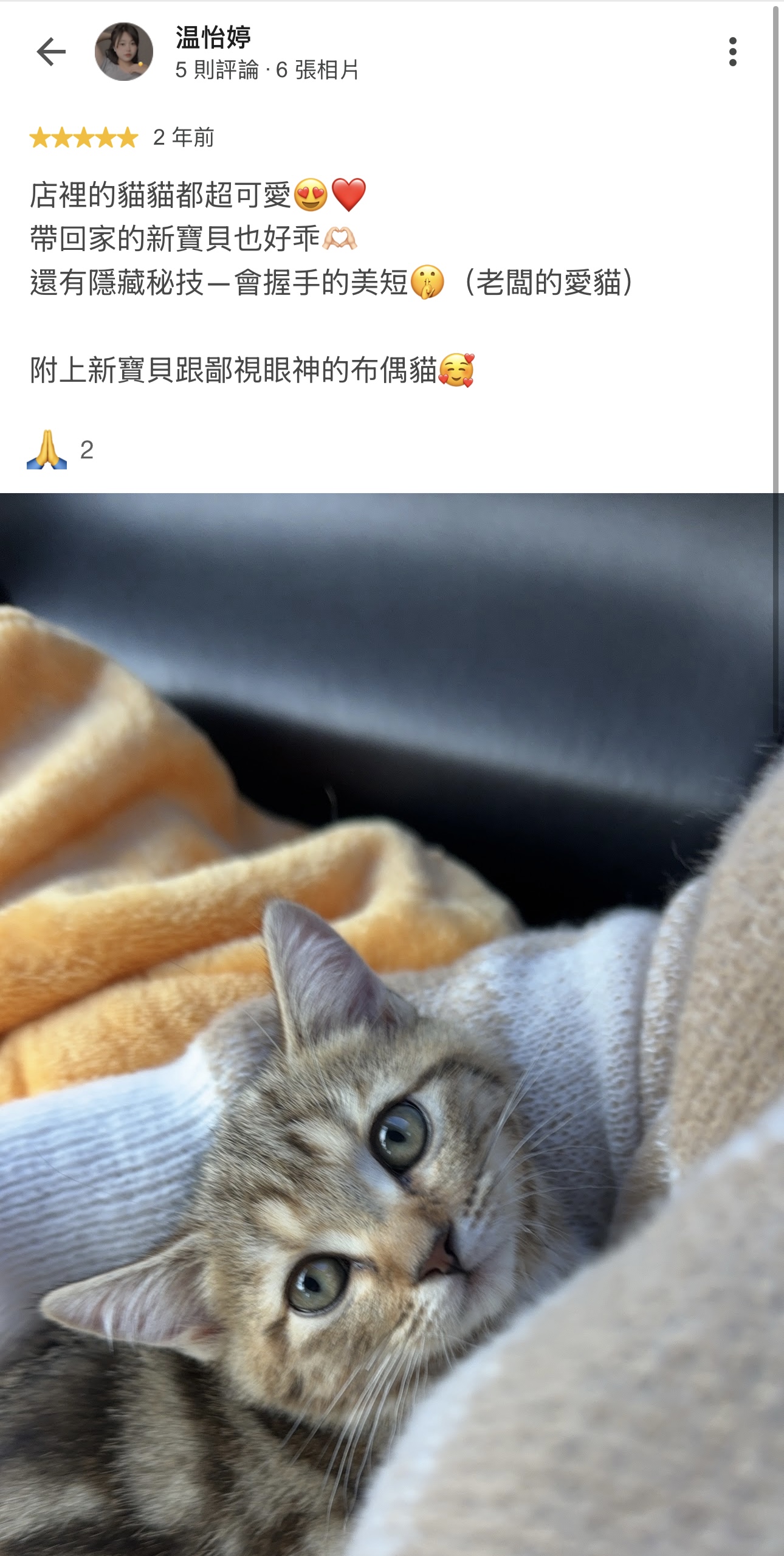溫怡婷的原始 Google 評論截圖