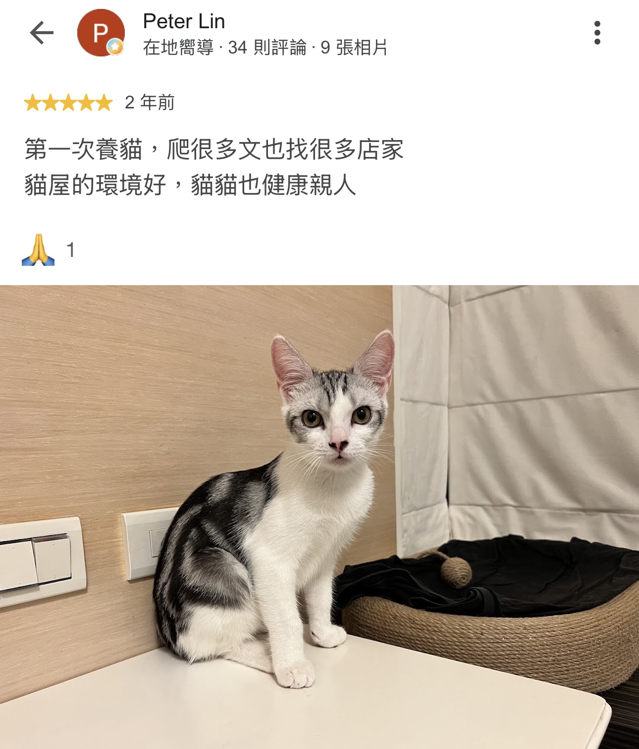 Peter Lin的原始 Google 評論截圖